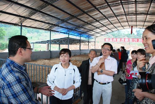 20101124062241709.jpg