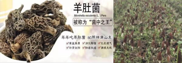 1596765558910492.png QQ截图20200727160652.png